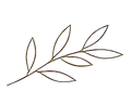 decorative leaf